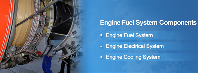 Engine Fuel System Components